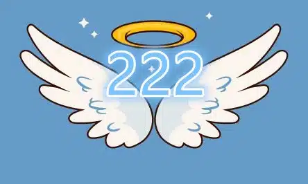 Angel Numbers 222