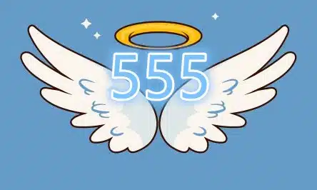 Angel Numbers 555