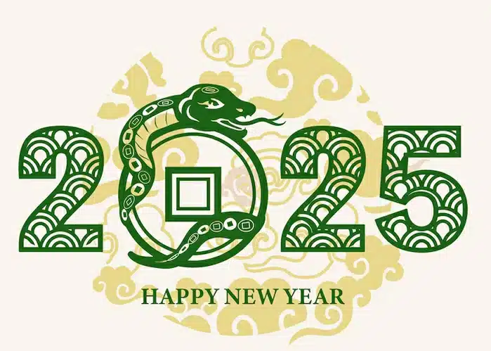 Year of the Snake 2025