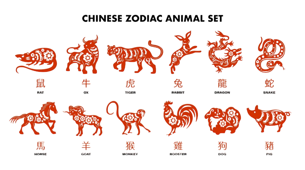 The Chinese Zodiac